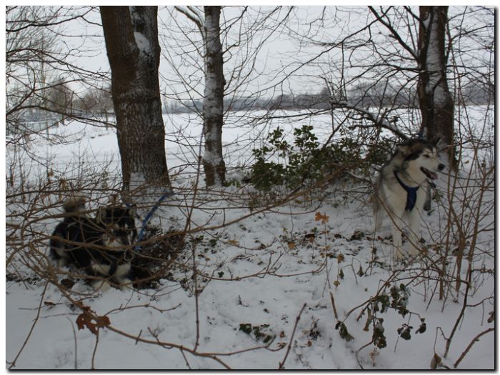 Grenzlandtour I 027.jpg